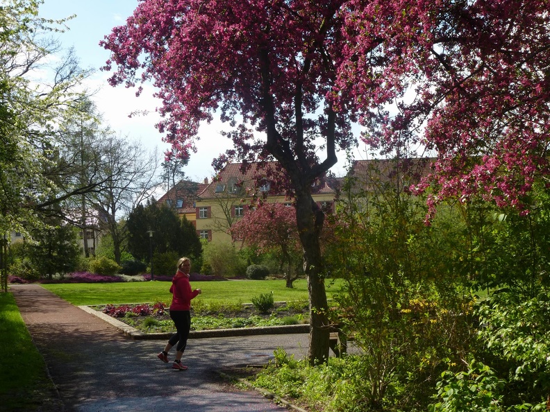 P1070363.JPG