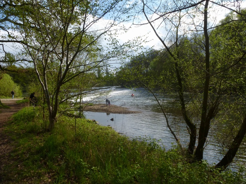 P1070447.JPG