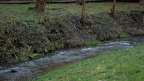P3161455
