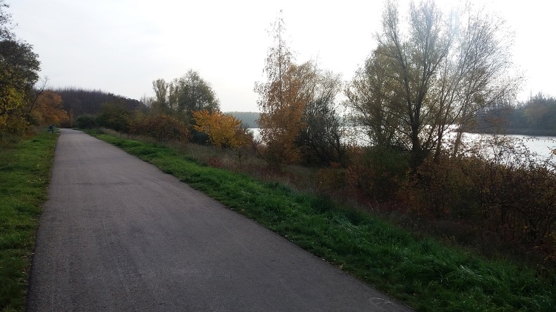 20191115_102049.jpg