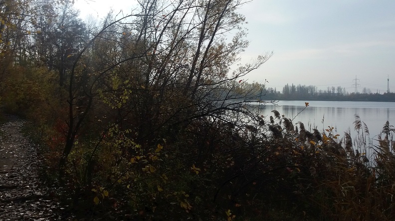 20191115_102713.jpg
