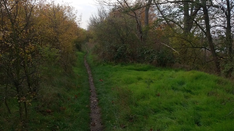 20191115_104106.jpg