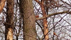 P3304703