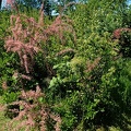 P5074964